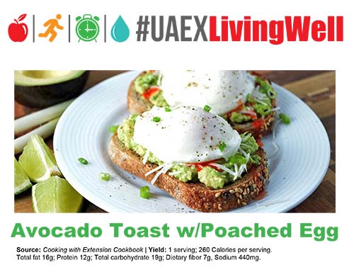 breakfast/avocado toast with poached egg