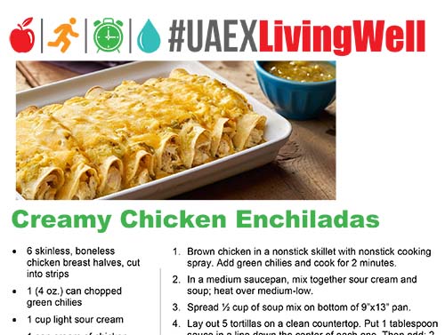 appetizers/creamy chicken enchiladas